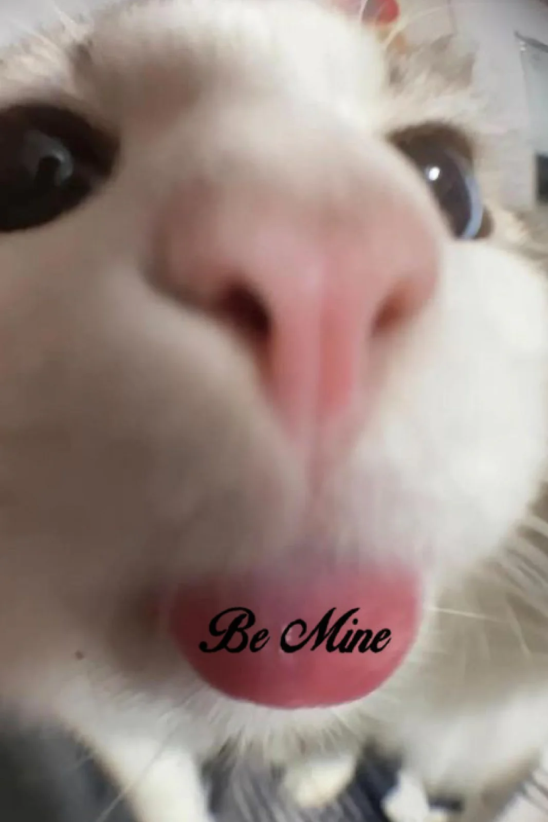 2549-be-mine-e-gift-card-1.webp Be Mine E-Gift Card
